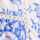 BLUE-MULTI