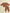 Maverick Baby Sweat Set by Quincy Mae Detail 2 - TULLABEE