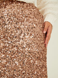 Cameron Sequin Maxi Skirt Detail 6 - TULLABEE