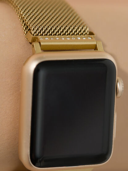 Mesh Magnetic Watch Band - TULLABEE