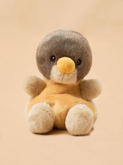 Rudi the Robin - TULLABEE