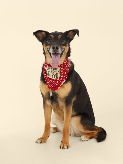 Wiggle Butts Pet Bandana - Large - TULLABEE