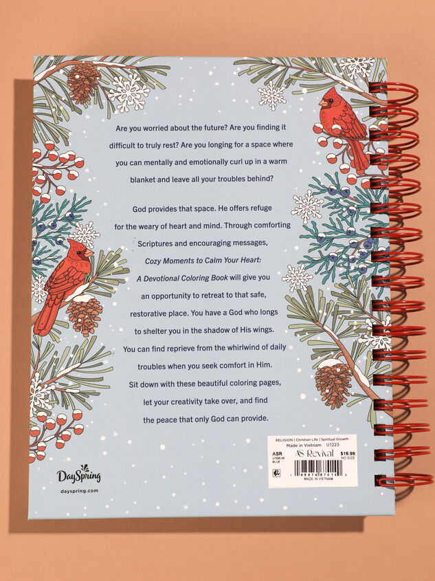 Cozy Moments Coloring Devotional Detail 3 - TULLABEE