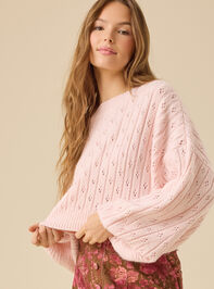 Anastasia Cropped Pointelle Sweater - TULLABEE