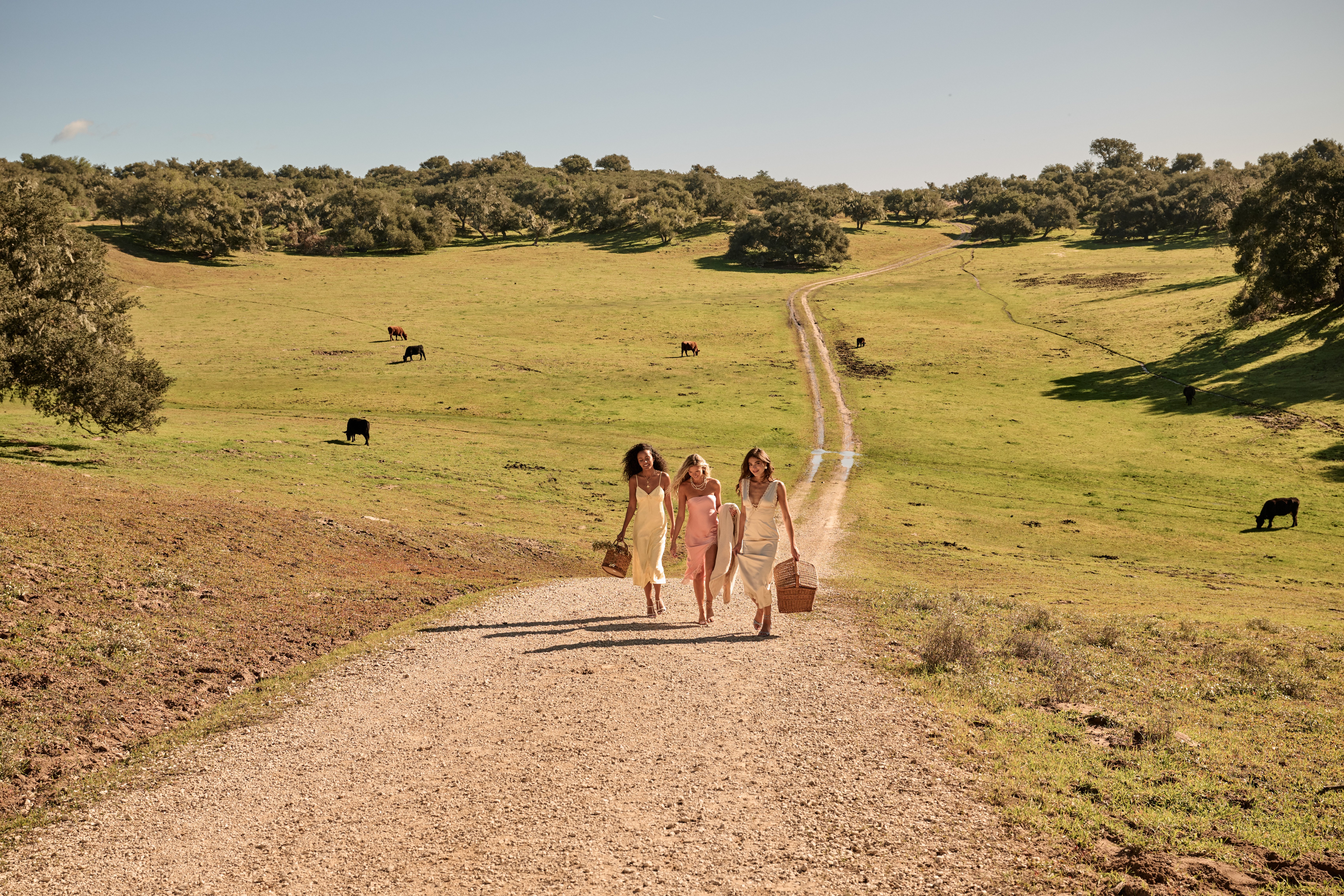 Spring to Life - A Season in Bloom - TULLABEE